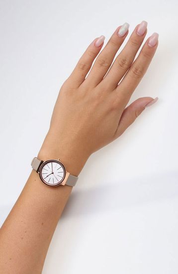 Женские часы Skagen SKW2481