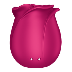 Вакуумный стимулятор клитора Satisfyer Pro 2 Classic Blossom