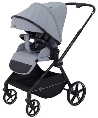 Детская прогулочная коляска Rant Moss Grey