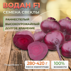 ВОДАН F1 семена свеклы (Bejo | Alexagro)