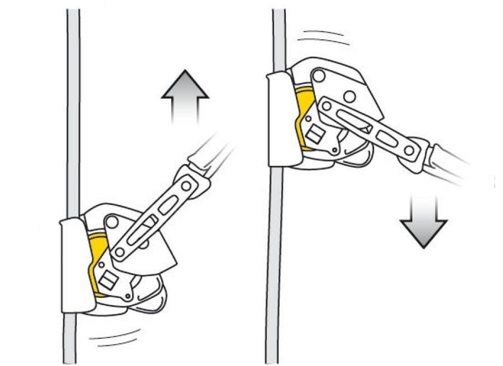 Sicherungsgerät Petzl Grigri +