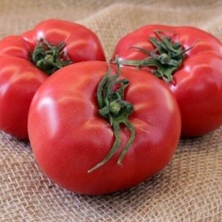 Томат Розовый фламинго 25  грамм