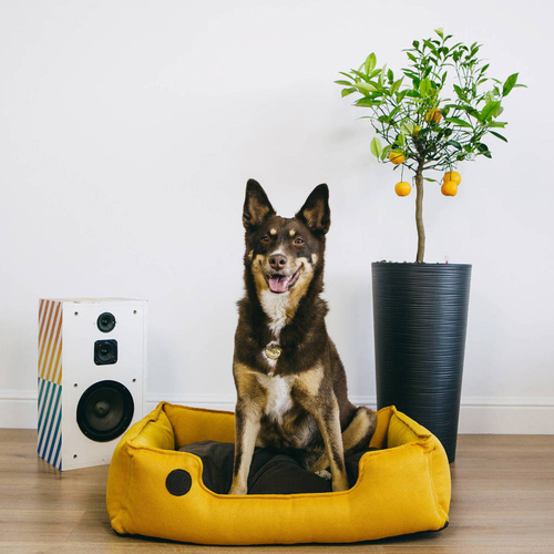 Лежанка из рогожки, горчичный Rachel WOW