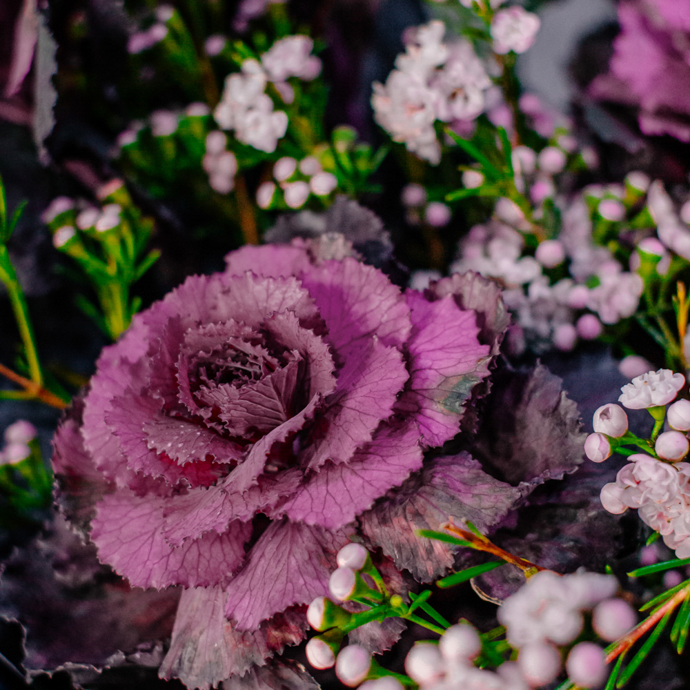 59. Загадочный дерзкий букет с брассикой