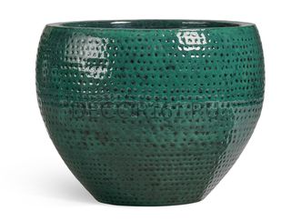 Кашпо TREEZ Effectory Wild and Precious