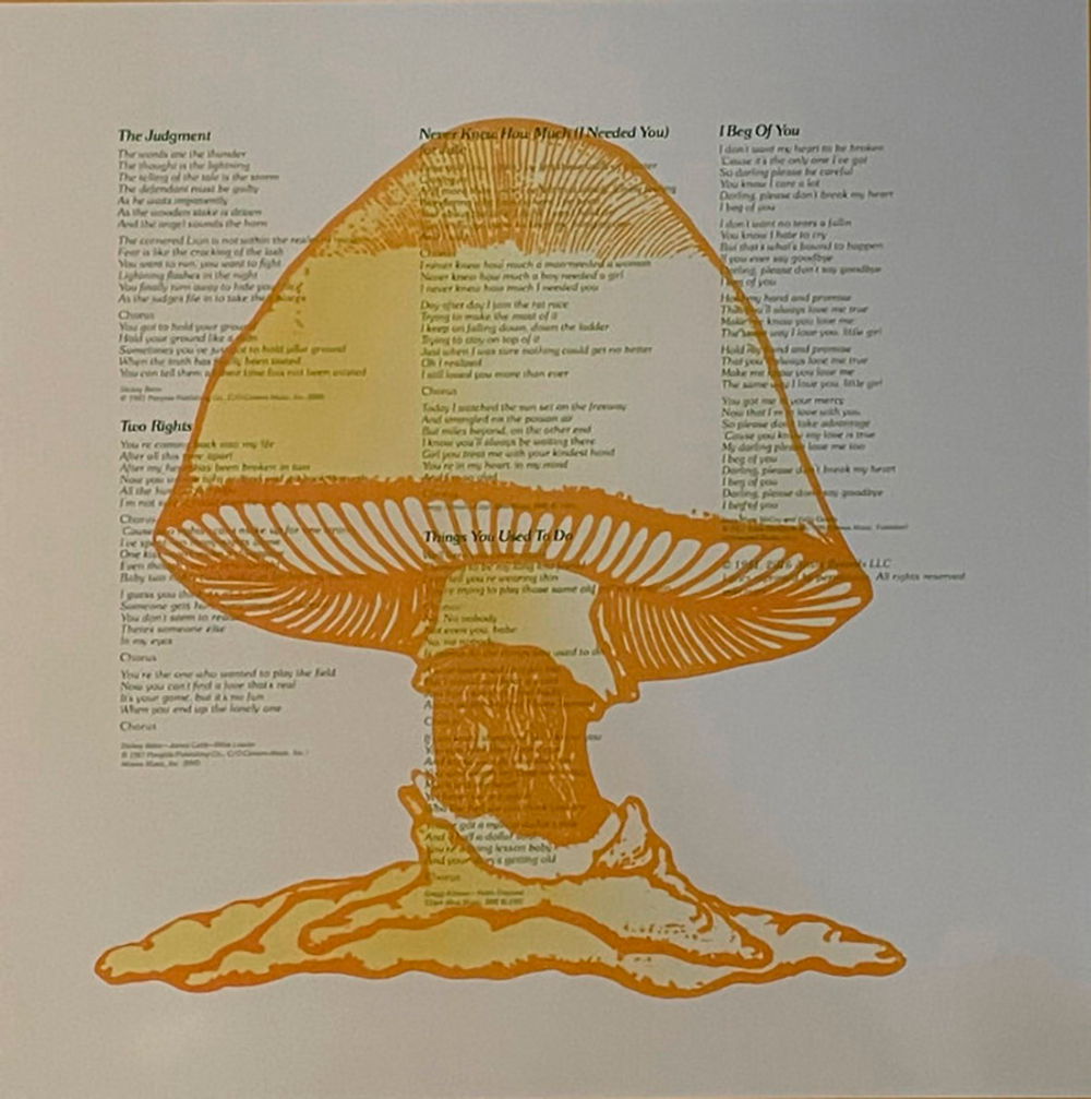 The Allman Brothers Band / Brothers Of The Road (LP)