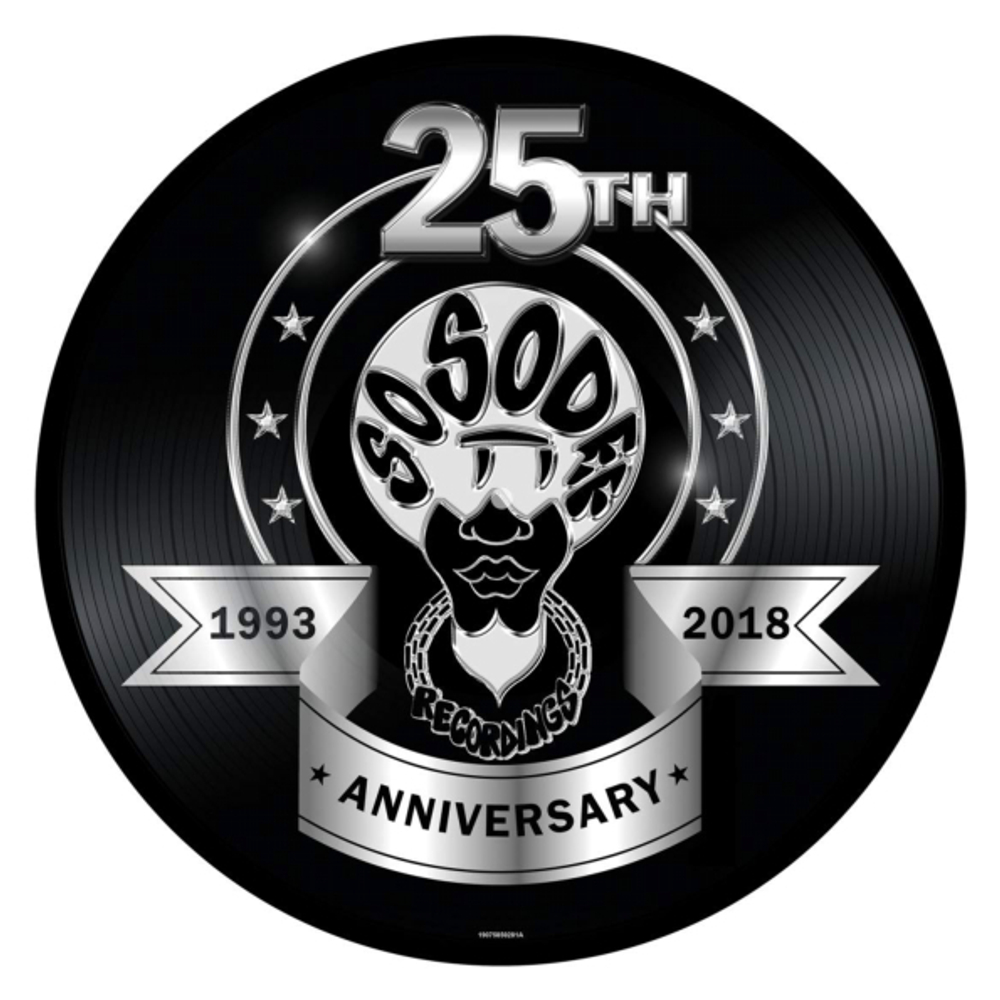 Сборник / So So Def 25 (Picture Disc)(LP)