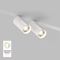 Трековый светодиодный светильник Denkirs Smart Spot DK8012-WH