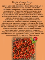 Паслён Оранж Берри съедобный