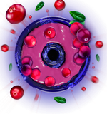 Space Smoke Basic - Cranberry Strike (125g)