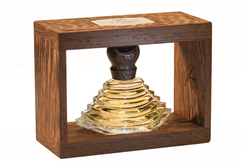 David Thibaud-Bourahla L'Indigene