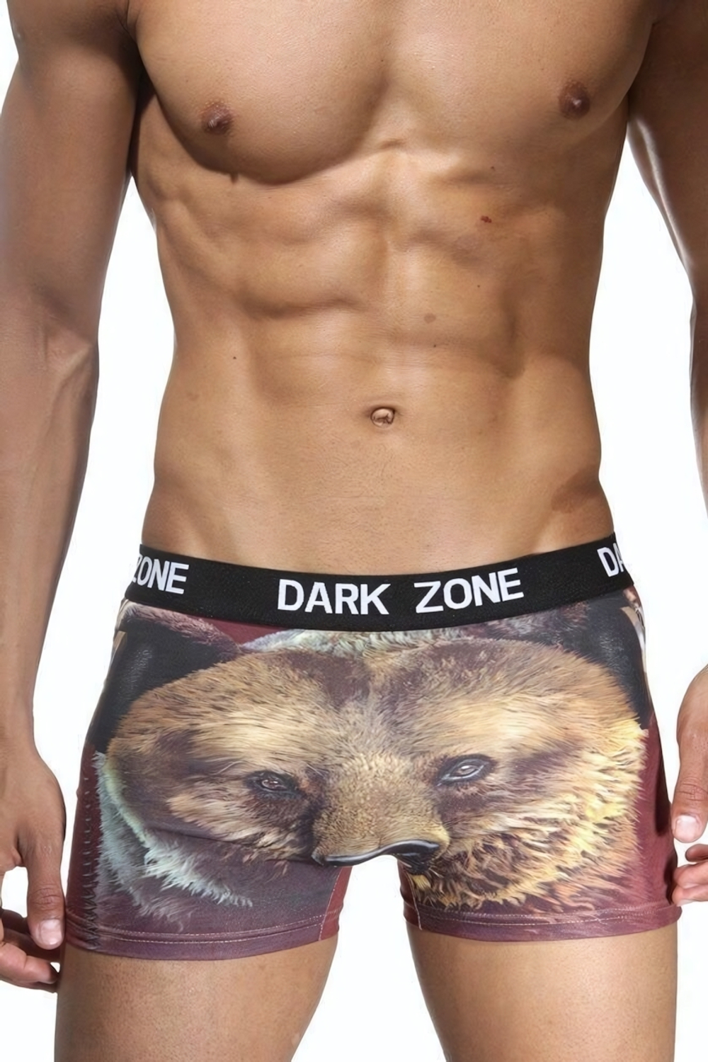 Мужские трусы-боксеры с 3D-принтом в виде медведя (Размер: S) (Цвет: разноцветный)