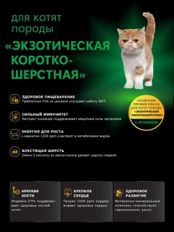 Корм для котят Экзотическая короткошёрстная, ягненок, 2 кг