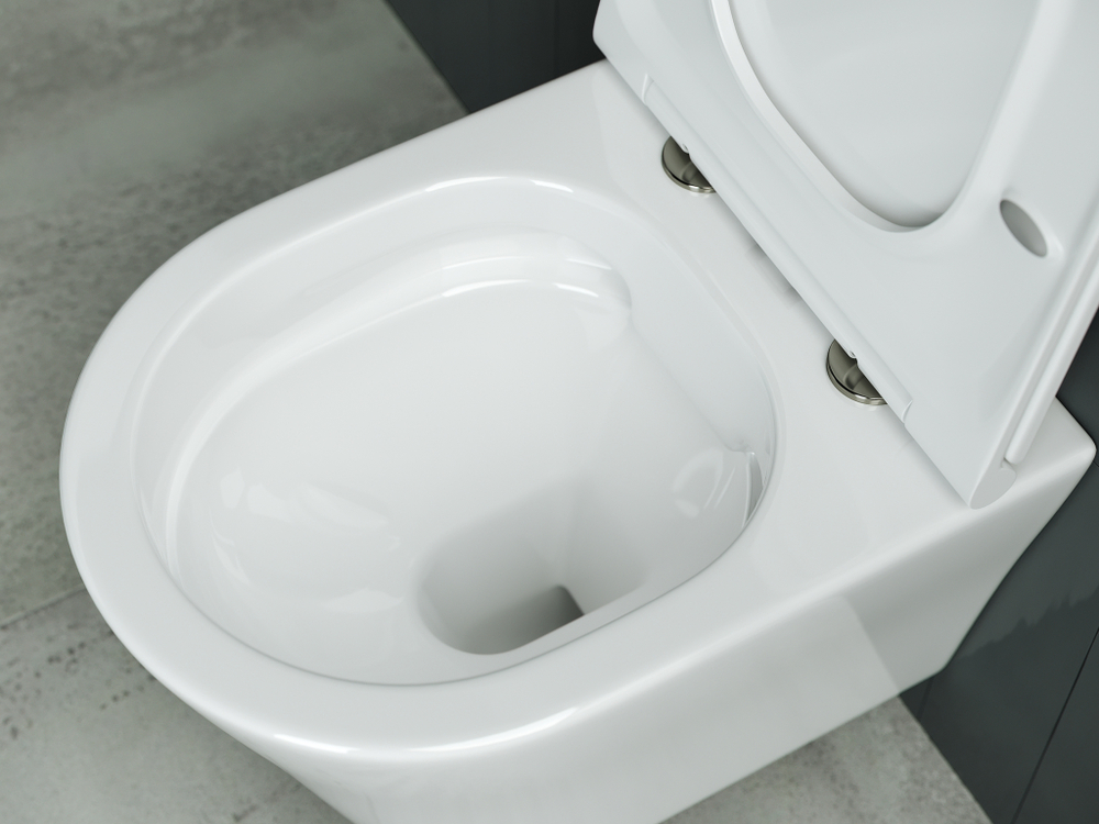 Комплект подвесной безободковый унитаз Ceramica Nova Forma с крышкой-сиденьем CN3011 + инсталляция Geberit Delta 458.149.21.1 с кнопкой, хром глянцевый