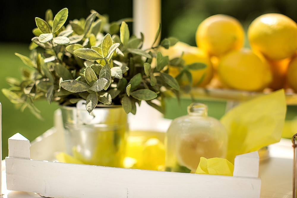 Lemon Party