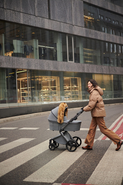 Детская коляска Anex l/type 3 в 1 Frost