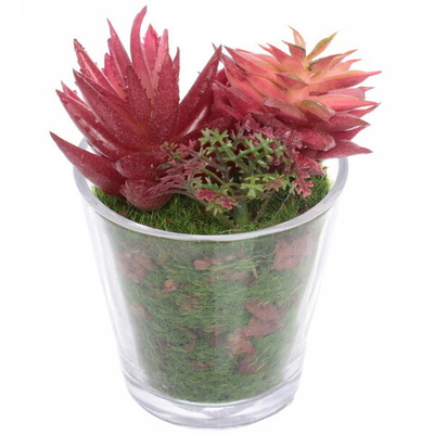 Цветок искусственный «Суккулент» 6*10см в стеклянном горшке ZPY-36
