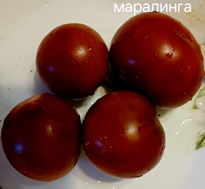 ГНОМ МАРАЛИНГА