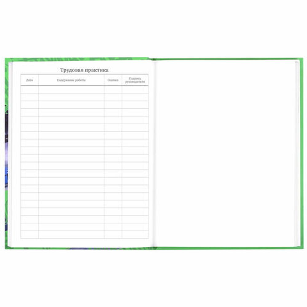 Дневник 5-11 класс 48 л., твердый, BRAUBERG, выборочный лак, с подсказом, "Машина", 106883