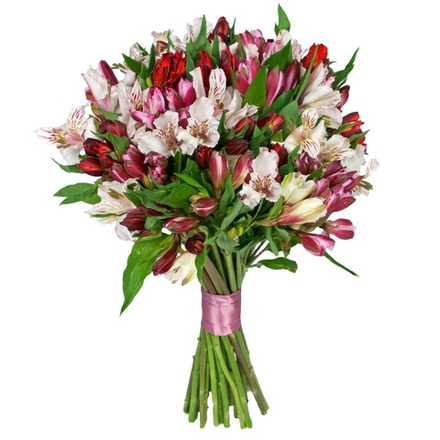 Альстромерия