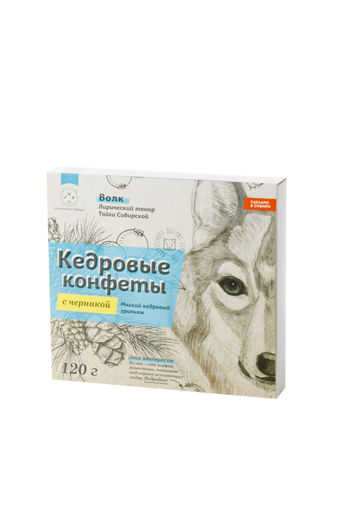 Кедровые конфеты "с Черникой" в шоколаде ручной работы / 120 гр / грильяж / Солнечная Сибирь