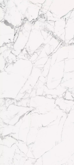 Керамогранит Magnum Les Origines de REX Blanc Glossy 6mm