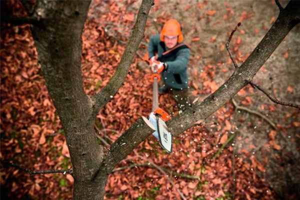 Как выбрать высоторез: руководство для покупателя Как выбрать высоторез: руководство для покупателя
