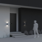 Уличный настенный светильник Outdoor O574WL-02GR