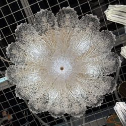 Потолочный светильник Cloyd HERBARY-A FM8 / Ø60 см - бесцвет. стекло (арт.10692)