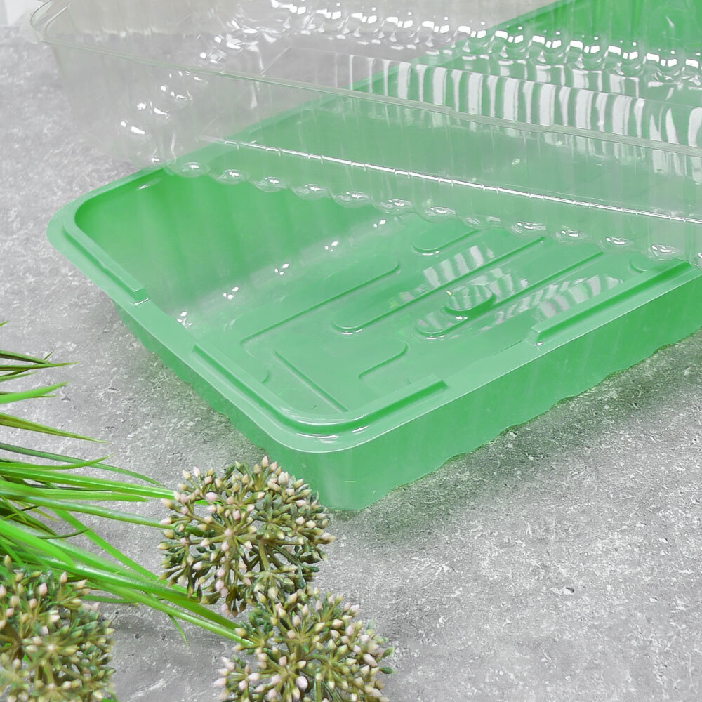 Парник для рассады 3 места, 44*22*6,5см (ВЗ*300, ДЗ*150)