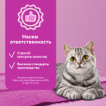 Желе с лососем, 75г корм для кошек влажный Whiskas