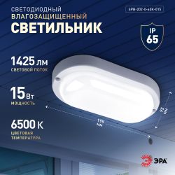 Светильник ЖКХ светодиодный ЭРА SPB-202-0-65K-015 P65 15Вт 6500K 195х95 овал | Светильники для ЖКХ IP65