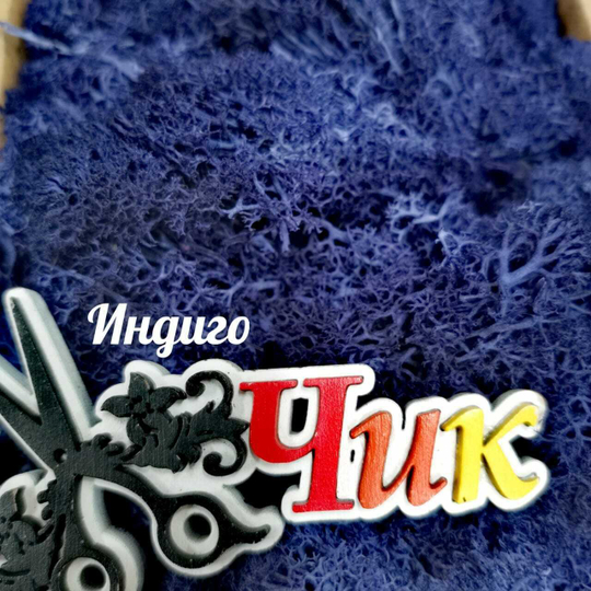 Мох ИНДИГО стабилизированный (20 гр.)