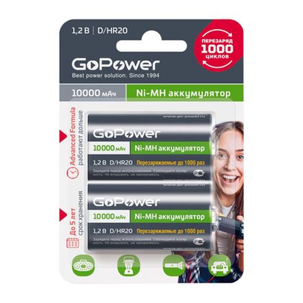 Аккумуляторная батарея GoPower R20 D 10000mAh   1/6/48
