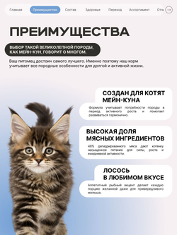 Корм сухой для котят породы Мейн-кун, с лососем, 2 кг, QUATTRO