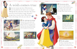 Disney Princess The Essential Guide, New Edition