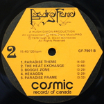 Paradise Frame / Paradise Frame (LP)
