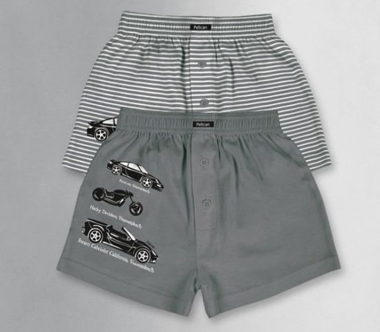 Боксеры (2шт) для мальчиков Pelican BUB-416