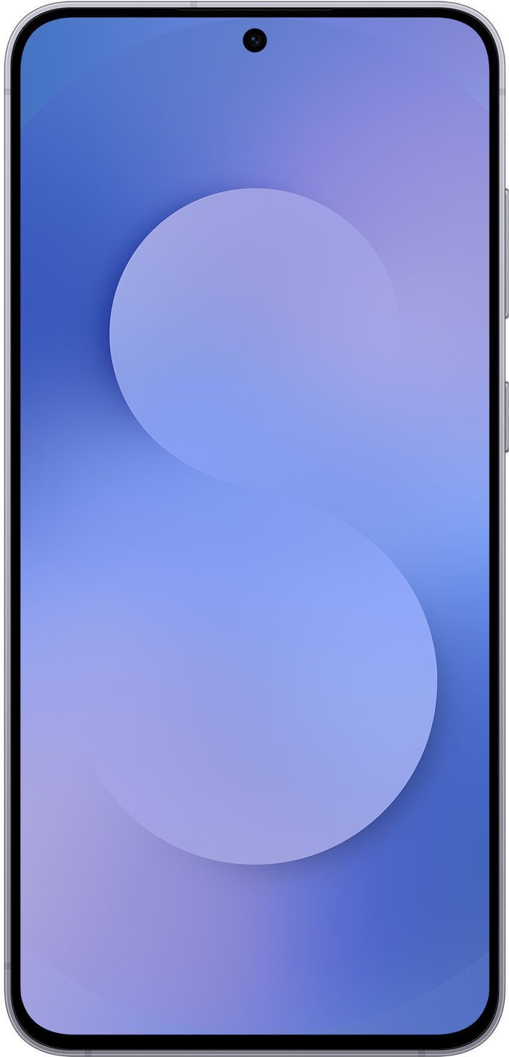 Samsung Galaxy S25 FE 256GB