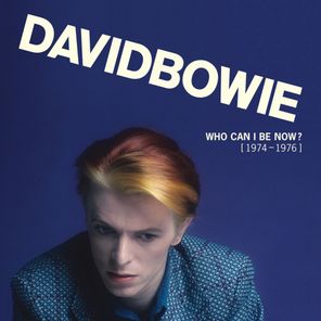 David Bowie / Who Can I Be Now? (1974 - 1976)(13LP)
