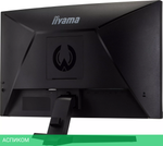 Монитор Iiyama G-Master G2466HSU-B1