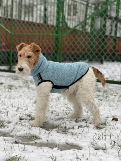 Свитер для собак на молнии попона