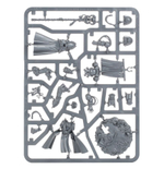 Chief Librarian Tigurius