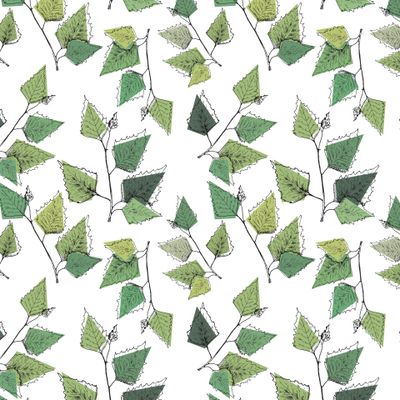 Листья берёзы (зелёный)