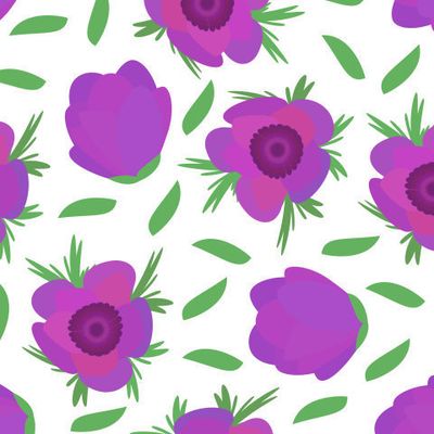 цветы Ветреницы или Анемона