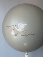 Воздушные шары на определение пола №8656