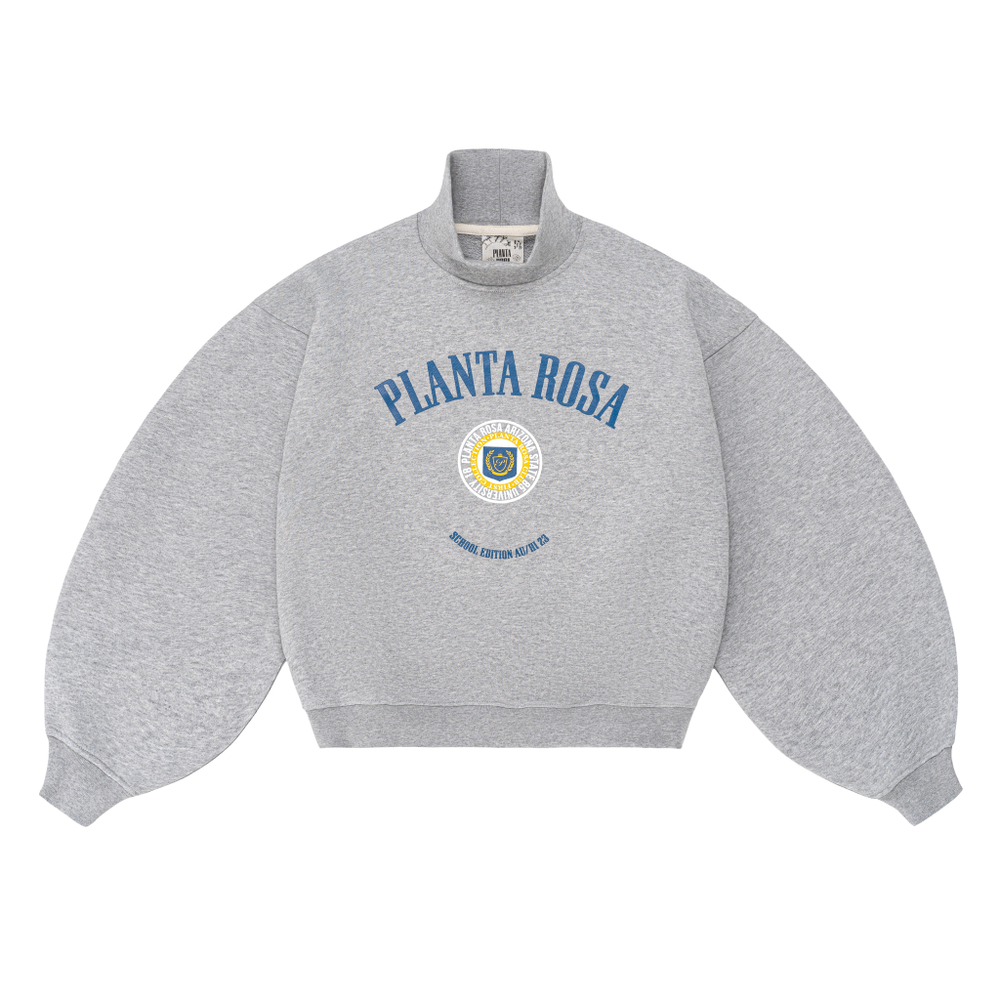 Arizona sweatshirt online
