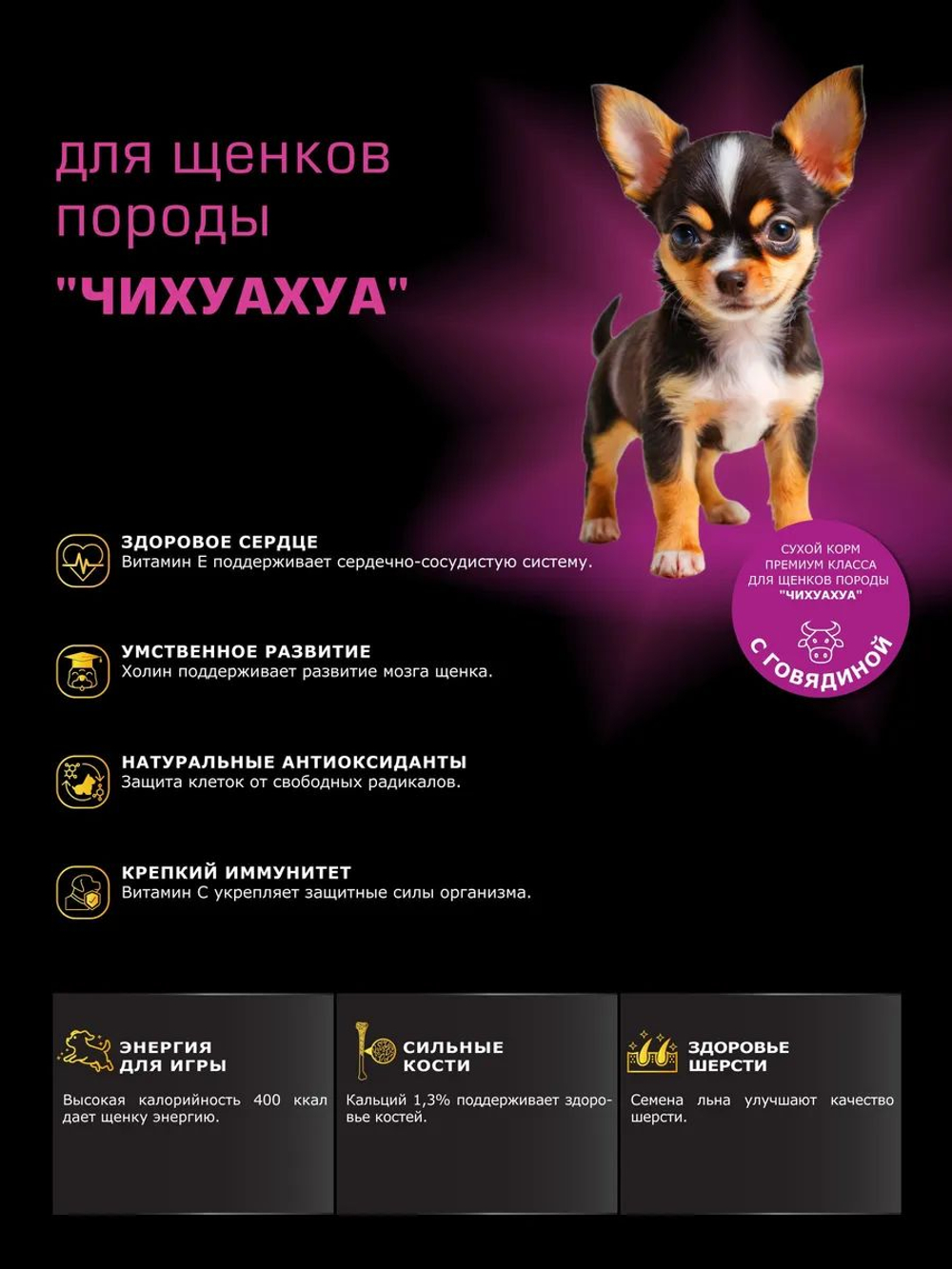 Корм сухой для щенков породы Чихуахуа, с говядиной, 3 кг, QUATTRO