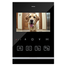 Монитор видеодомофона SF Ain Black черный