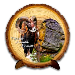 Спил кругляк "Аргали"